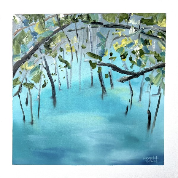 Upper Daintree 3 by Meredith Howse Art