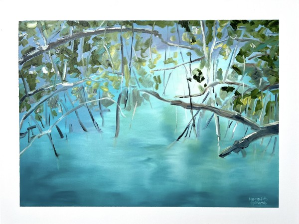 Upper Daintree 2 by Meredith Howse Art