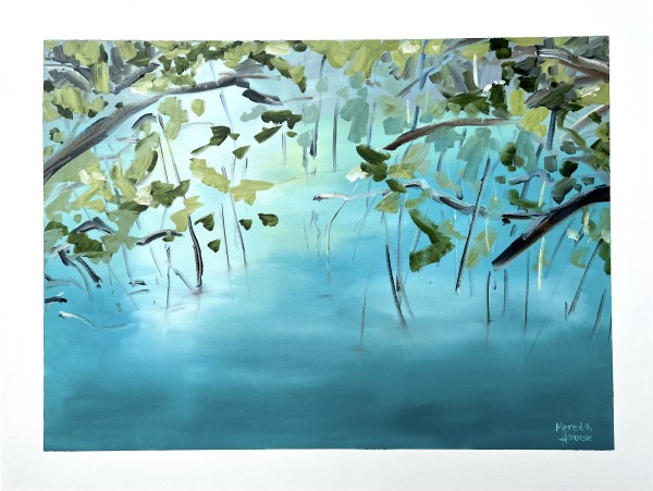 Upper Daintree 1 by Meredith Howse Art
