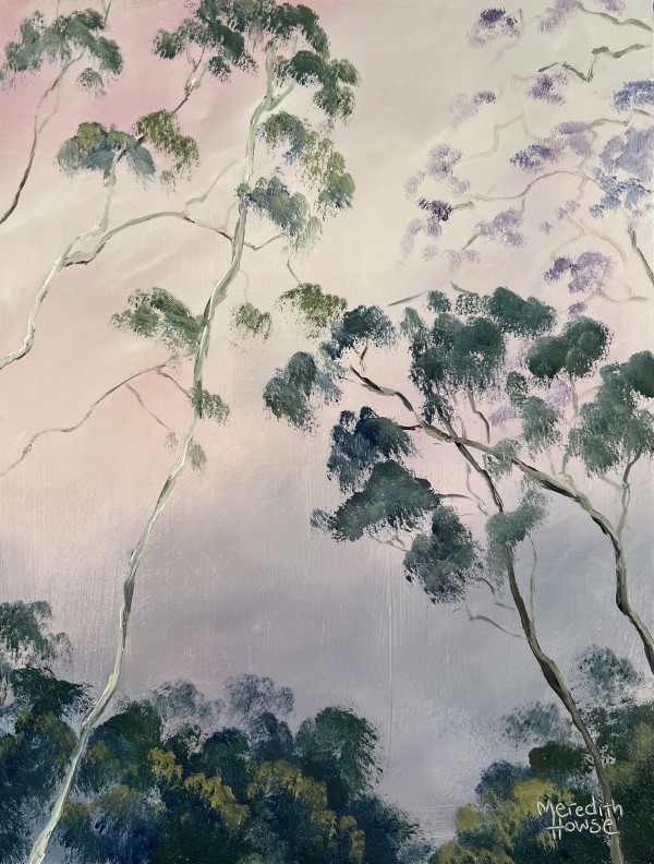 Illumination Gum Trees 2 by Meredith Howse Art