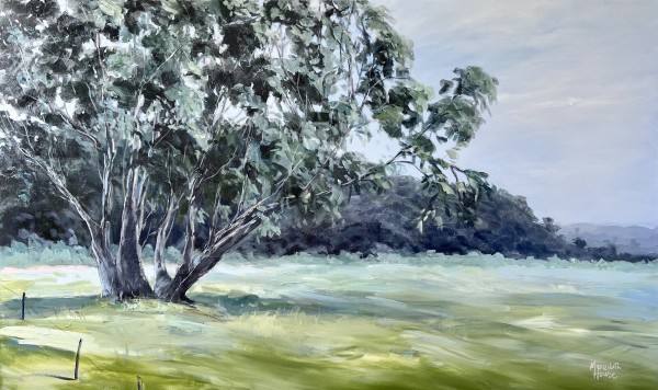 In Mid-West NSW by Meredith Howse Art