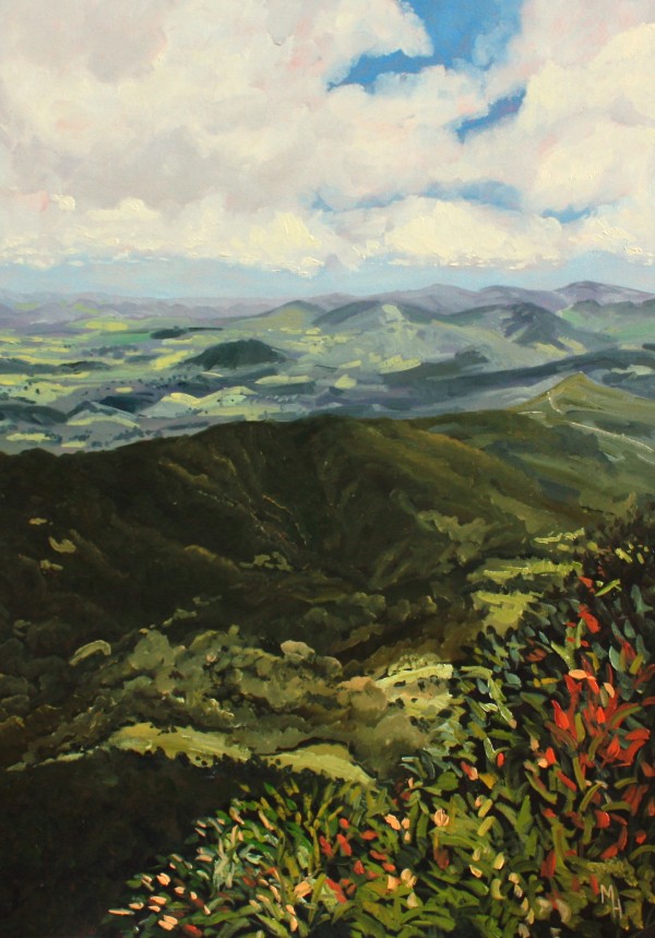 Springbrook by Meredith Howse Art