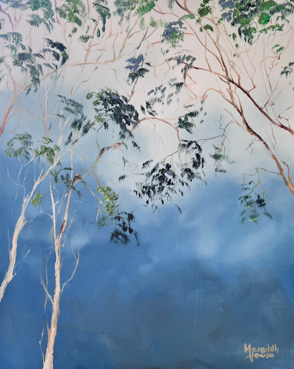 Illumination Gum Leaves by Meredith Howse Art