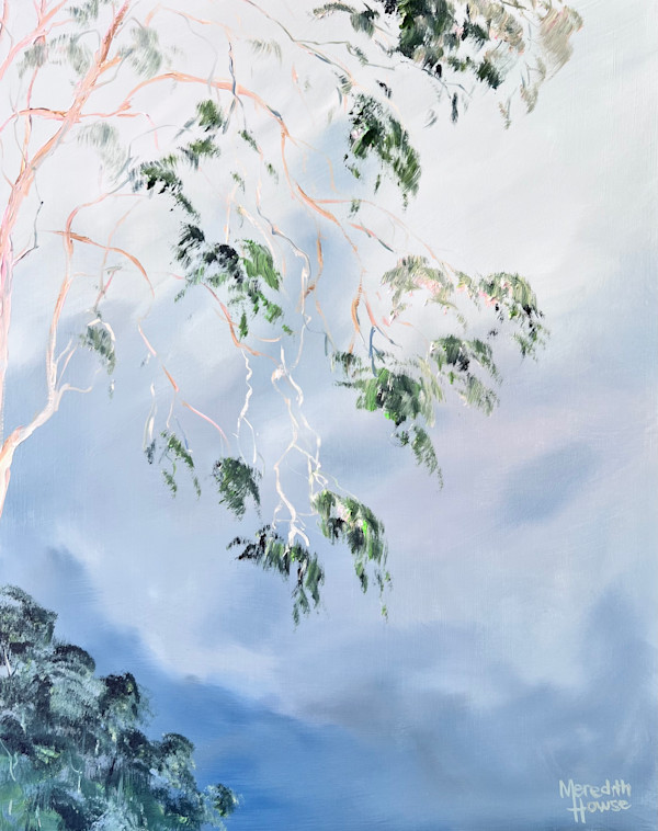 Illumination Gum Tree Sky by Meredith Howse Art