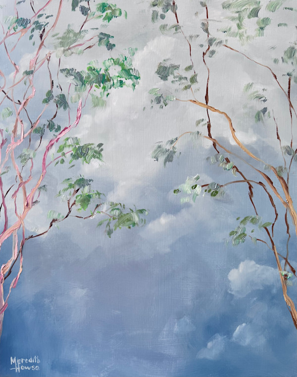 Illumination Gum Tree Clouds by Meredith Howse Art
