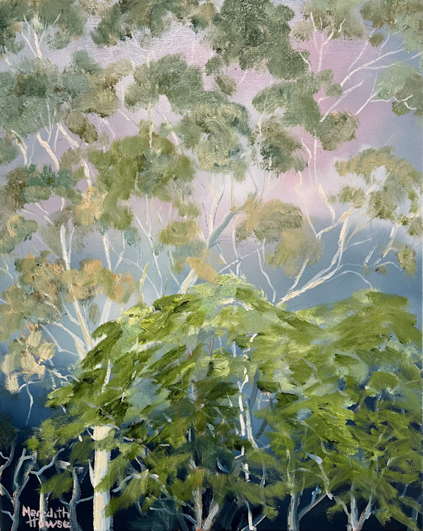 Illumination Night by Meredith Howse Art