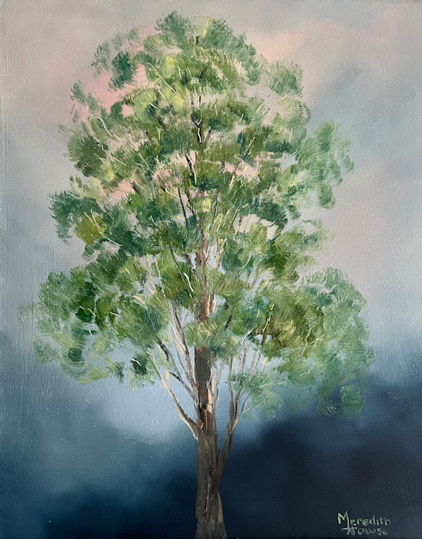 Illumination White Cypress by Meredith Howse Art