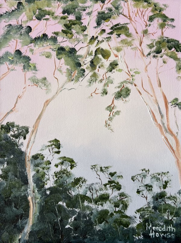 Illumination Twilights Canopy by Meredith Howse Art