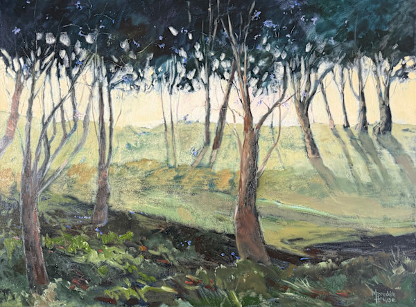 Illumination of Woonga by Meredith Howse Art, Image 1.
