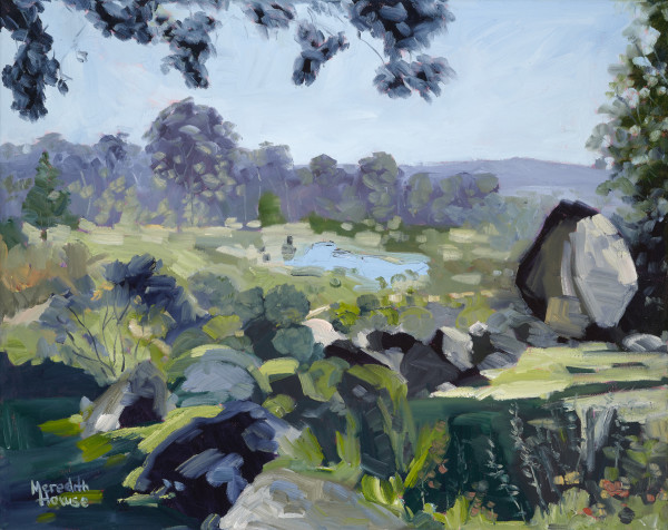 Japanese Gardens at Cowra by Meredith Howse Art