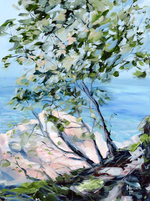 Noosa National Park 2 (Print) by Meredith Howse Art, Image 1.