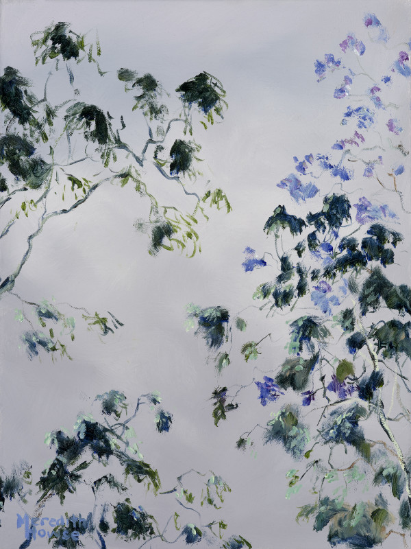Illumination Ashgrovian by Meredith Howse Art