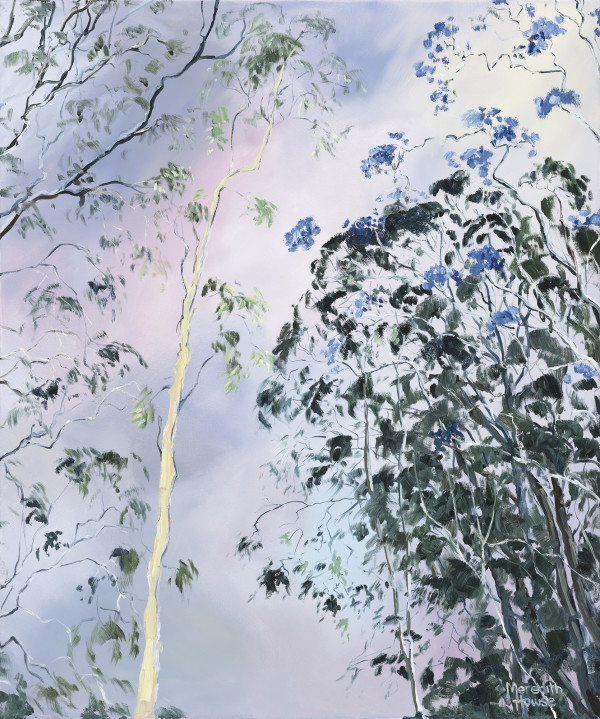 Illumination Trees of Ashgrove by Meredith Howse Art
