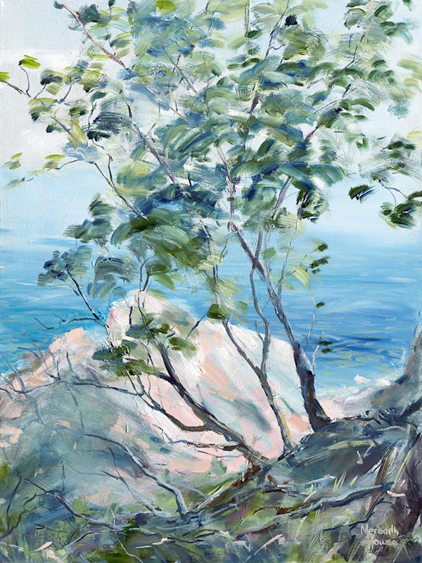 Noosa National Park 1 (Print) by Meredith Howse Art, Image 1.