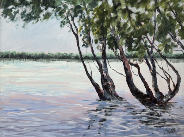 Rippling Water at Ainsworth by Meredith Howse Art