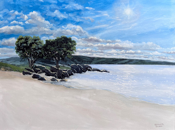 Sunshine at the Gardens, Tasmania by Meredith Howse Art