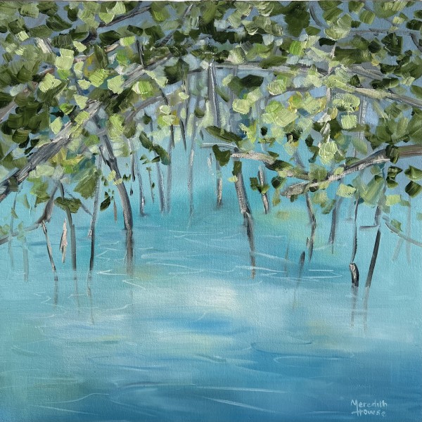 Upper Daintree 3 by Meredith Howse Art