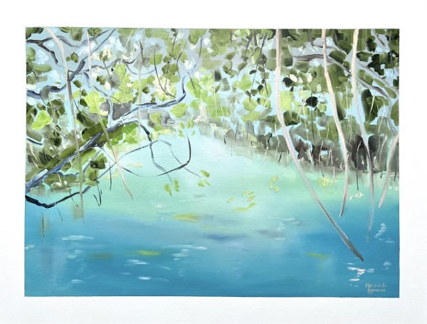 Upper Daintree 7 by Meredith Howse Art