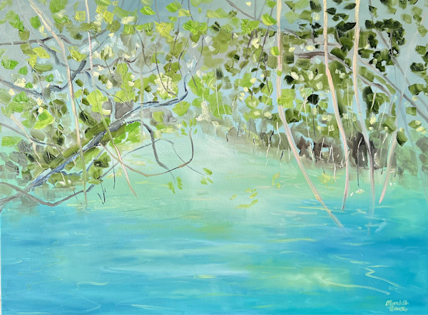 Upper Daintree 7 by Meredith Howse Art