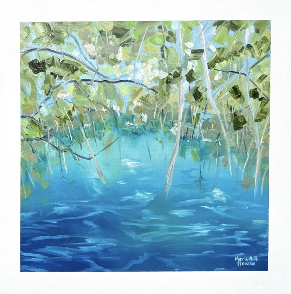 Upper Daintree 8 by Meredith Howse Art