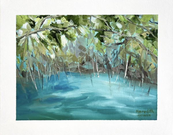 Upper Daintree 9 by Meredith Howse Art