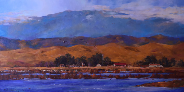 Late Summer Afternoon at Delevan Refuge by Bruce Hancock