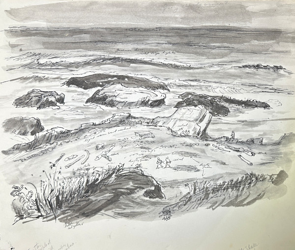 "Beachscape Sketch with Note: Scatter People at Will on Rocks, Anywhere" named by CLL by Fred Shane, Image 1.
