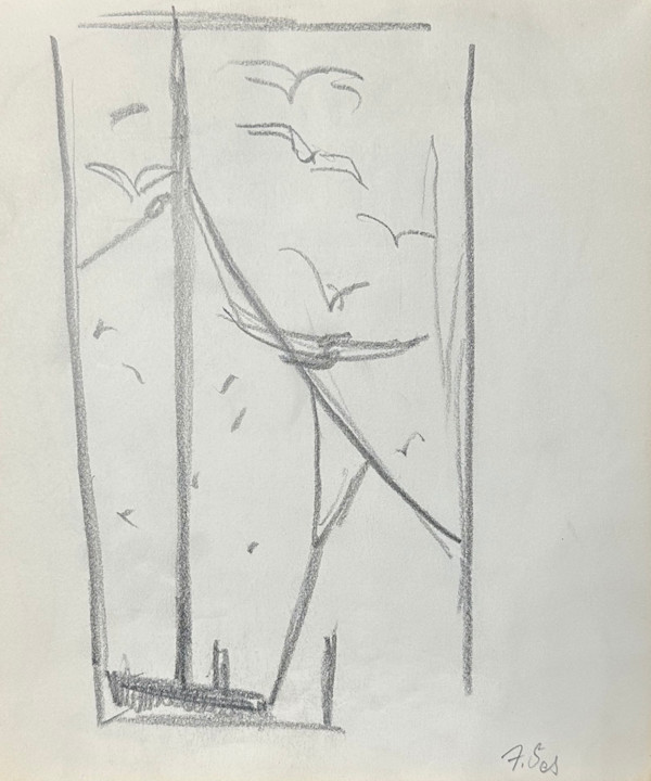"Seagulls, First Sketch" named by CLL by Fred Shane, Image 1.