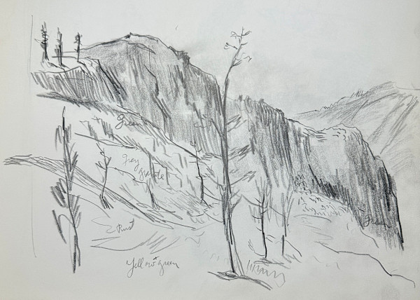 "Rough Sketch of a Mountain Landscape with Trees" named by CLL by Fred Shane, Image 1.