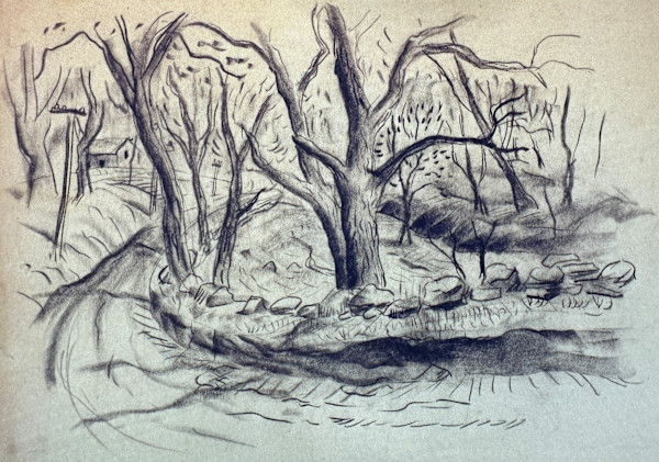 "Bend in the Road" named by CLL by Fred Shane, Image 1.