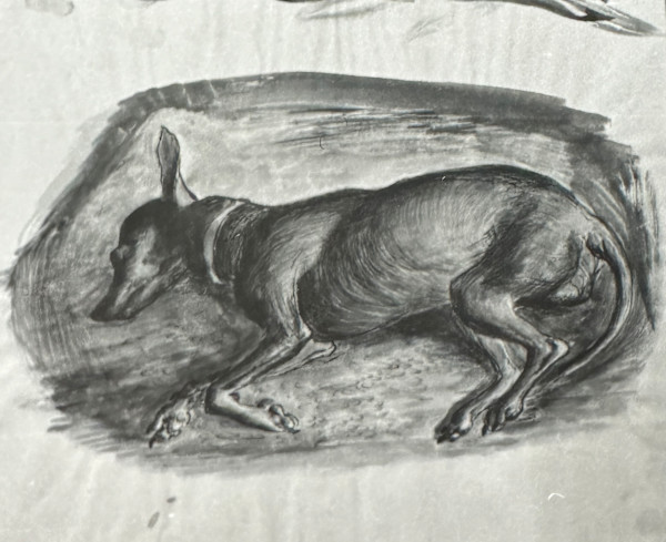 "Fitzi Asleep on his Side" named by CLL by Fred Shane, Image 1.
