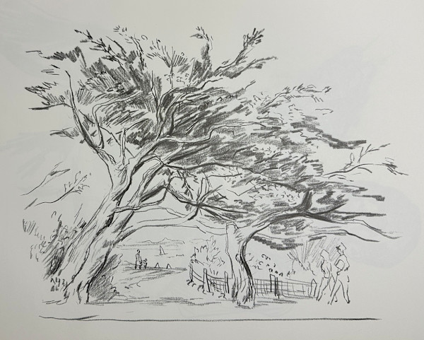 "Cypress Trees, Monterey, CA" by Fred Shane, Image 1.