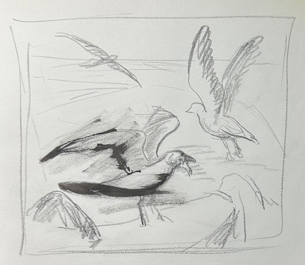 "Seagulls, Fourth Sketch" named by CLL by Fred Shane, Image 1.