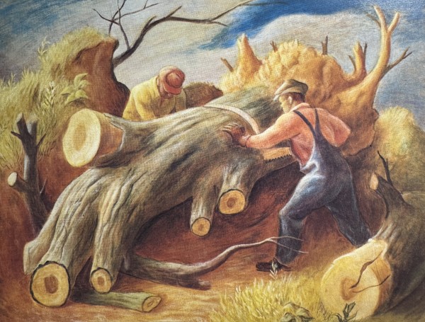 "Log Sawing, Tree Facing Lower Left, Tree with Crack" named by CLL by Fred Shane, Image 1.
