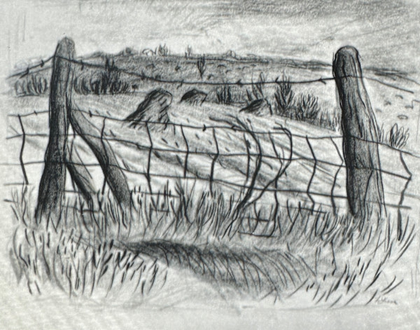 "Barbed Wire Fence with Distant Haystacks" named by CLL by Fred Shane, Image 1.