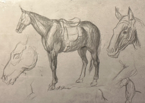 "Horse Study" named by CLL by Fred Shane, Image 1.
