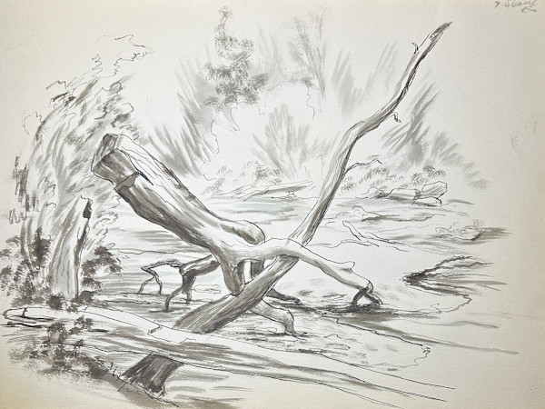 "Logs in a River" named by CLL by Fred Shane, Image 1.