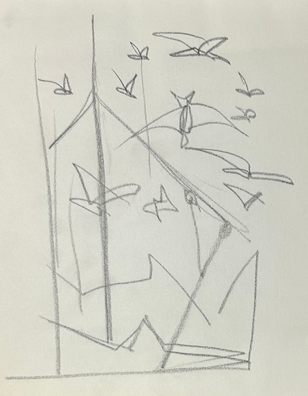 "Seagulls, Third Sketch" named by CLL by Fred Shane, Image 2.