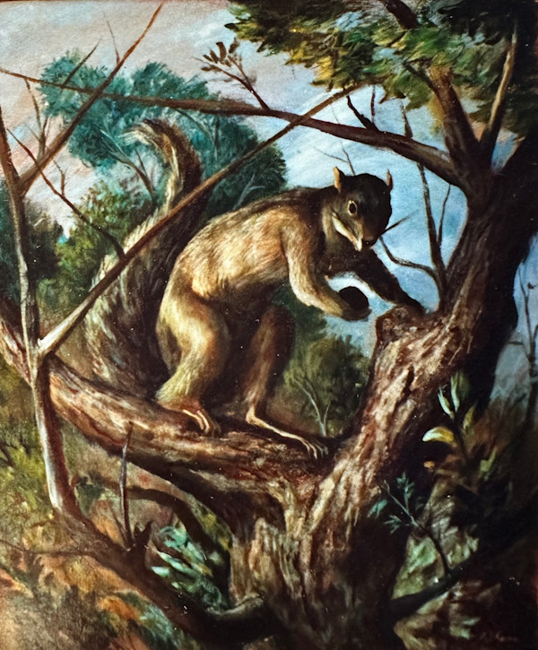 "Squirrel in a Tree" by Fred Shane, Image 1.