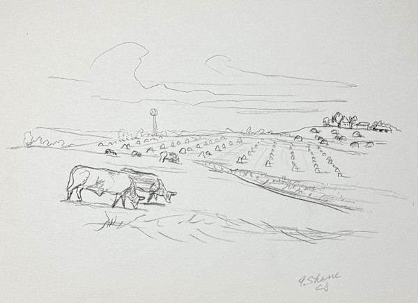 "Cows Grazing and Distant Haystacks" named by CLL by Fred Shane, Image 1.