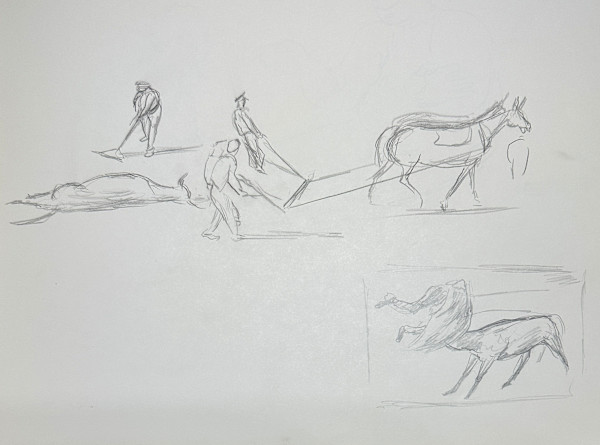 "Vignettes: Sketches of a Bull Fight, Page 3" named by CLL by Fred Shane, Image 1.