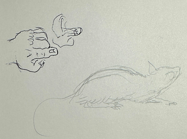 "Pointing Finger and Sketch of a Rat" named by CLL by Fred Shane, Image 1.