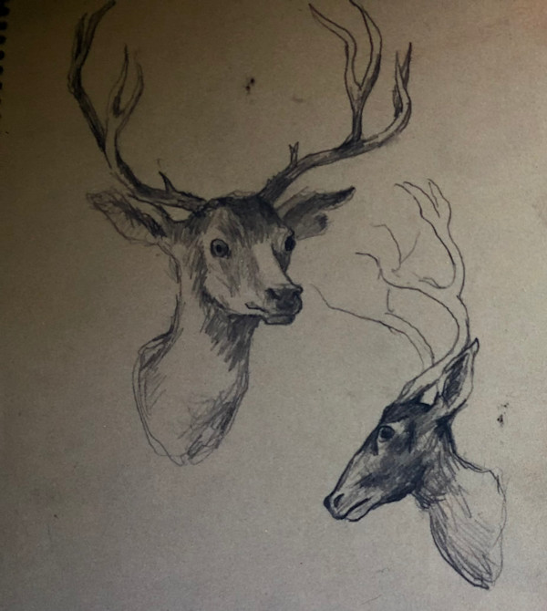 "Curio Shop - The Mummified Indian" - sketch for the Deer Head by Fred Shane, Image 1.