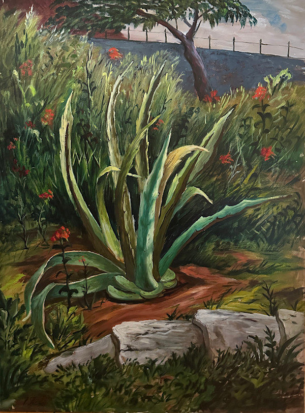 "Century Plant in Vence, Provence" named by CLL by Fred Shane, Image 1.