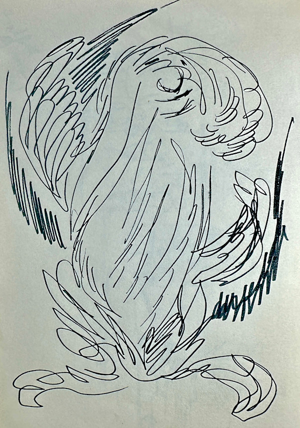 "Bird with a Nose" named by CLL by Fred Shane, Image 1.