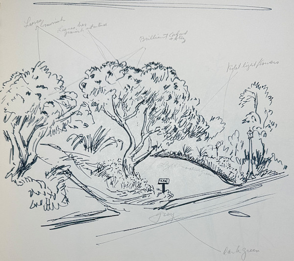 "Trees at a Driveway" named by CLL by Fred Shane, Image 1.