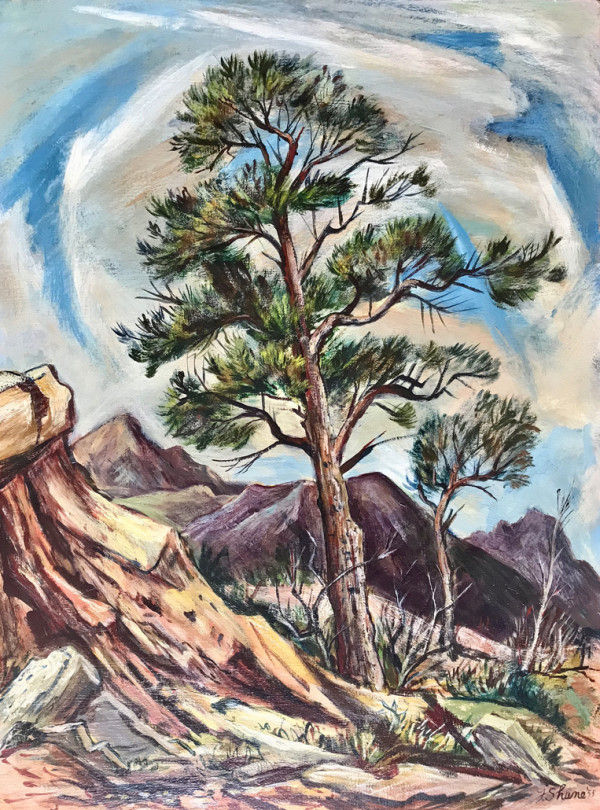 "Trees Mountains, Sky in Colorado" aka "Desert Pine" by Fred Shane, Image 1.