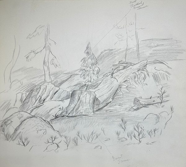 "Felled Tree in the Sierras" named by CLL by Fred Shane, Image 1.