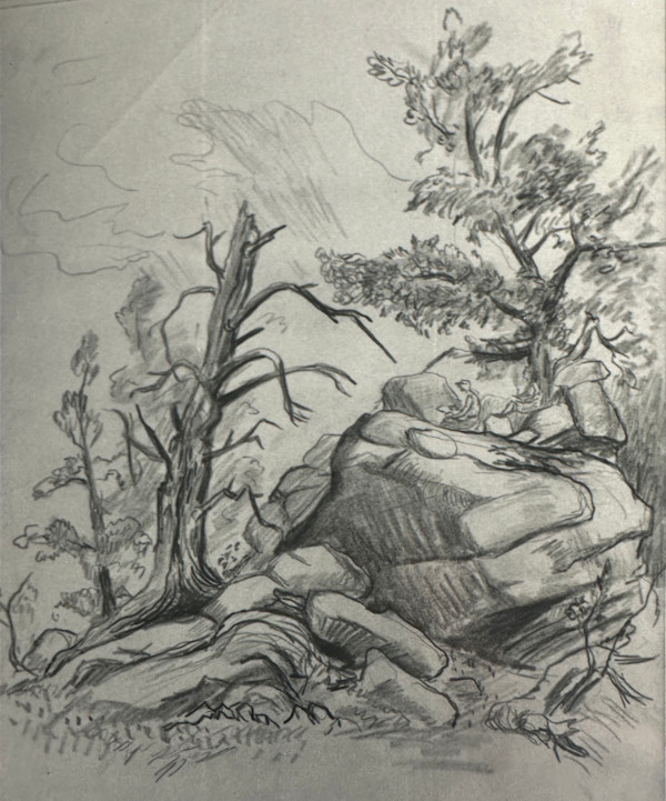 "Artist Sketching by Two Craggy Trees and Rocks" named by CLL by Fred Shane, Image 1.