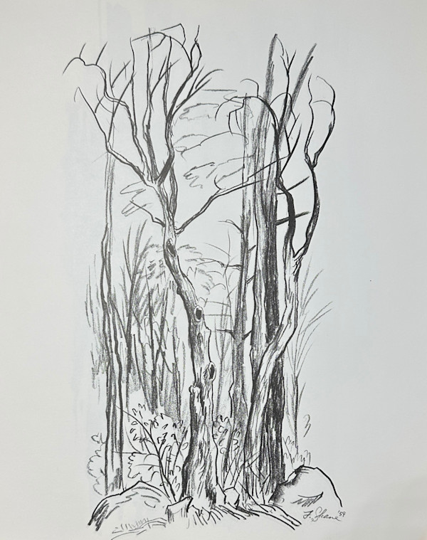 "Trees" study by Fred Shane, Image 1.